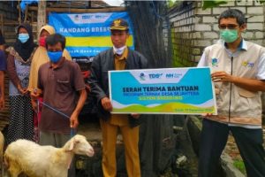Lazis PJB dan NH Zakatkita Salurkan 80 Ekor Kambing Breeding
