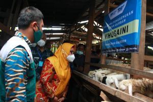 Bersama Wakil Bupati Gresik, NH Zakatkita Salurkan 100 Ekor Kambing Untuk Warga Bungah