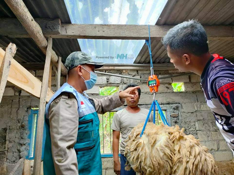 Program ternak desa sejahtera NH Tuban