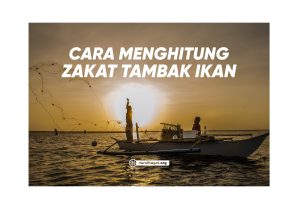 Cara Menghitung zakat tambak ikan yang benar