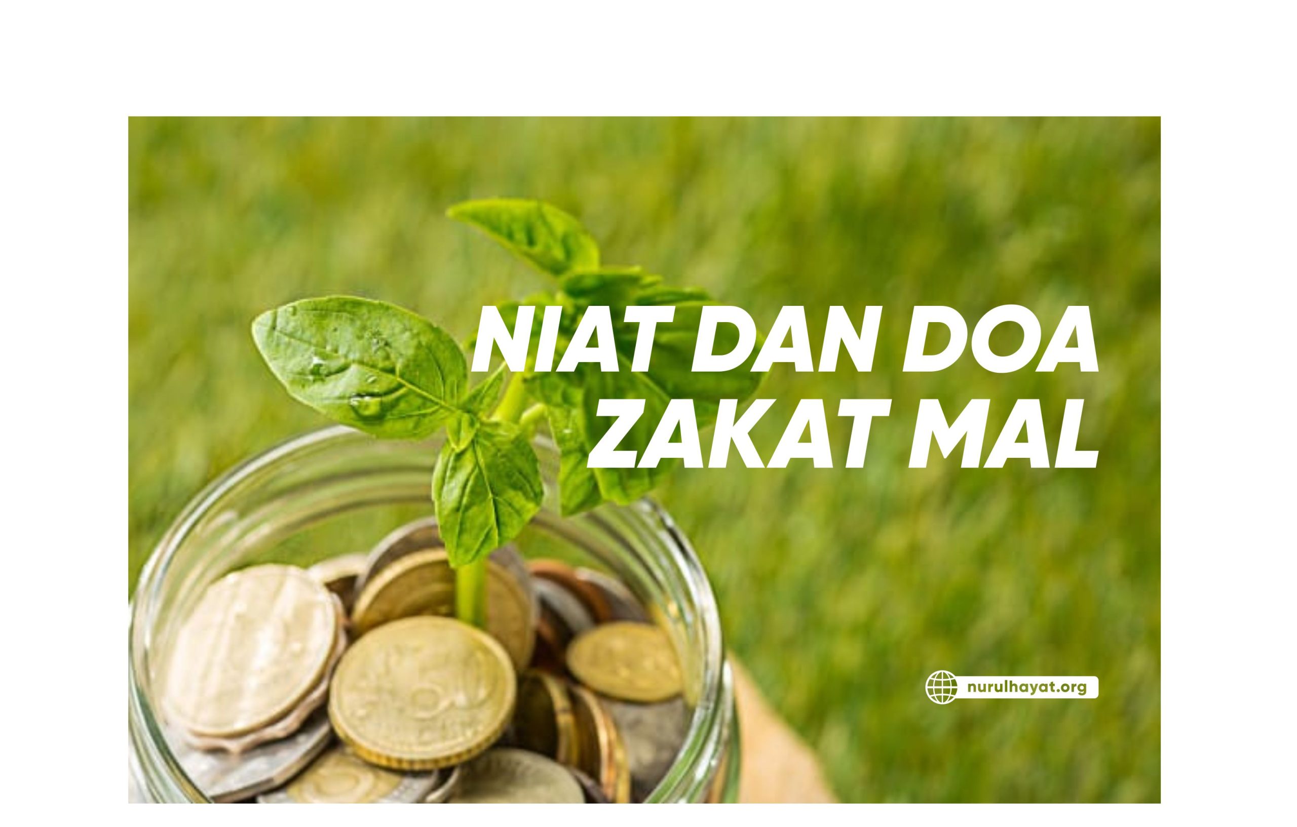 Doa Zakat Mal Niat Dan Ketentuannya LAZNAS Nurul Hayat