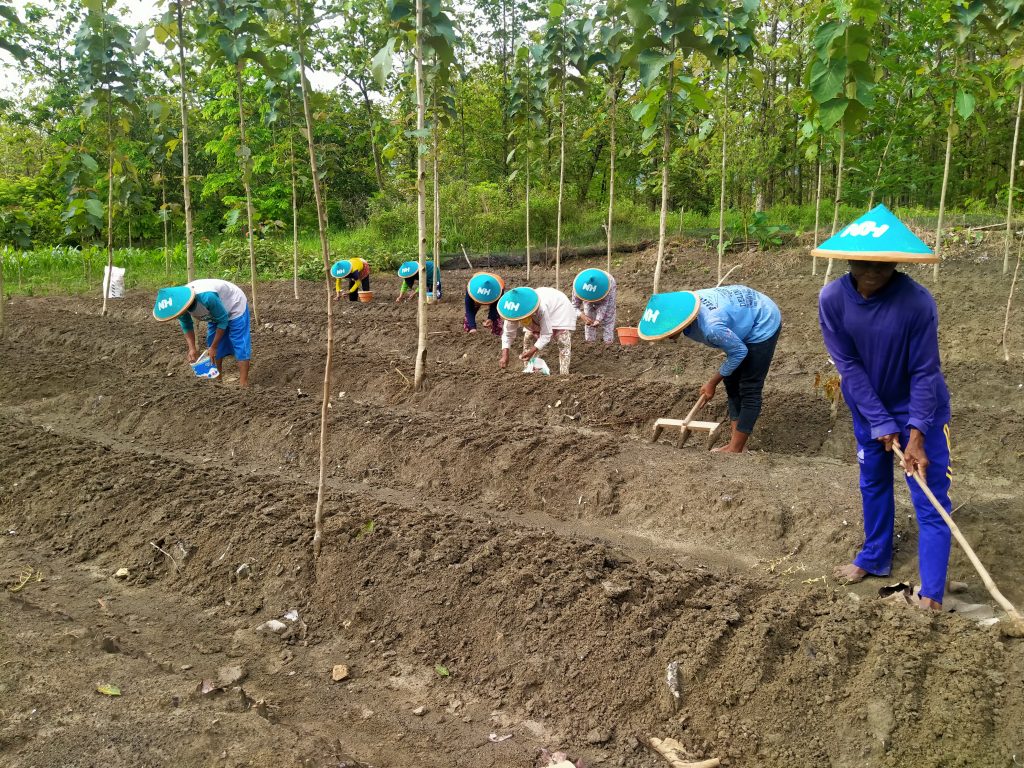 Gotong Royong Pemberdayaan Desa NH Bojonegoro