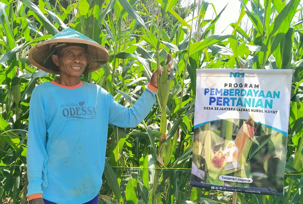 Pemberdayaan Pertanian Desa Sejahtera Nurul Hayat Bojonegoro Hasilkan Laba 71 Juta