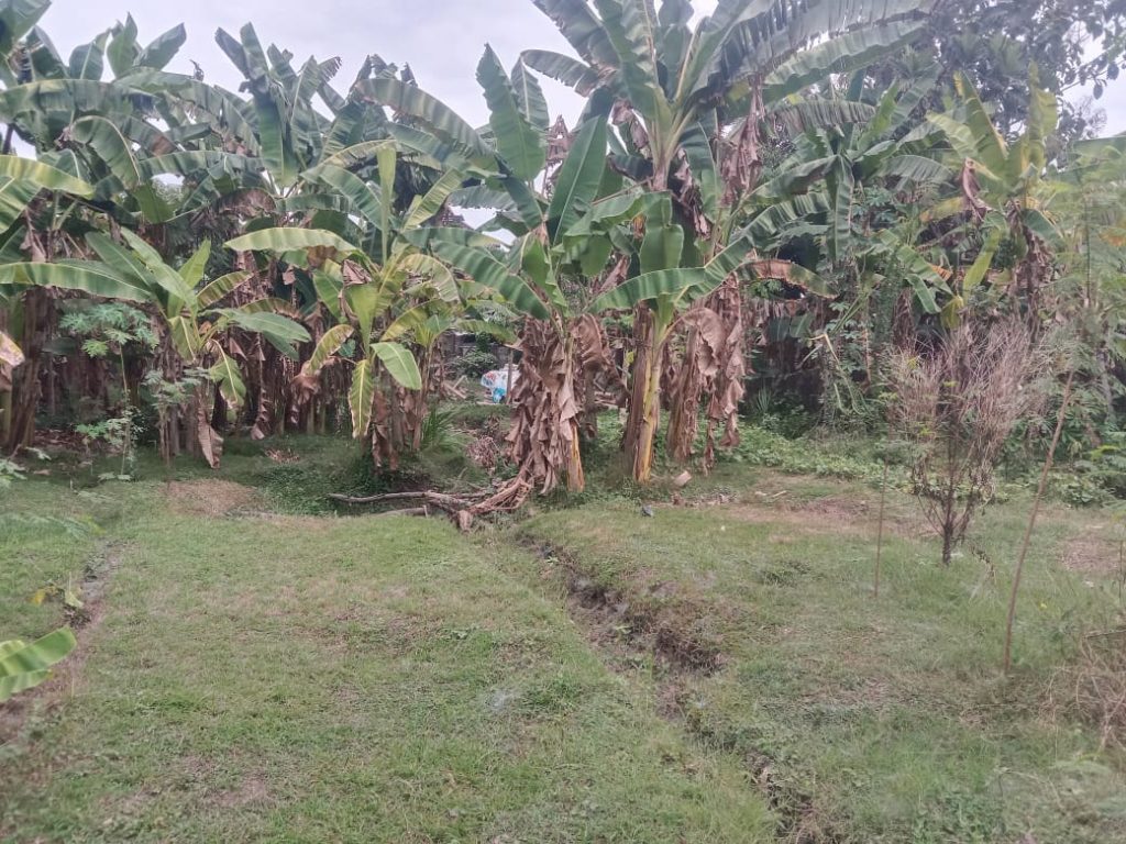 Wakaf Pembebasan Lahan Pesantren Masyarakat Kanung Madiun