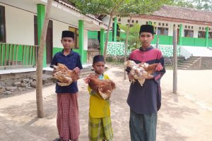 Ayam Petelur untuk Bantu Penuhi Gizi Santri Yatim Dhuafa