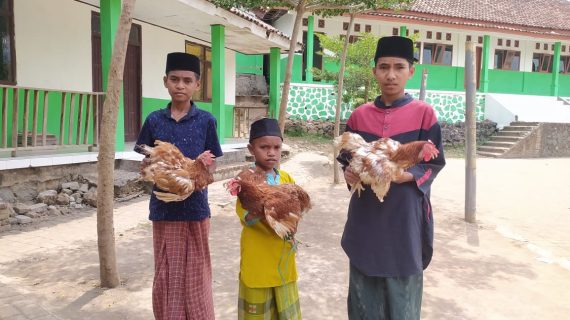 Ayam Petelur untuk Bantu Penuhi Gizi Santri Yatim Dhuafa